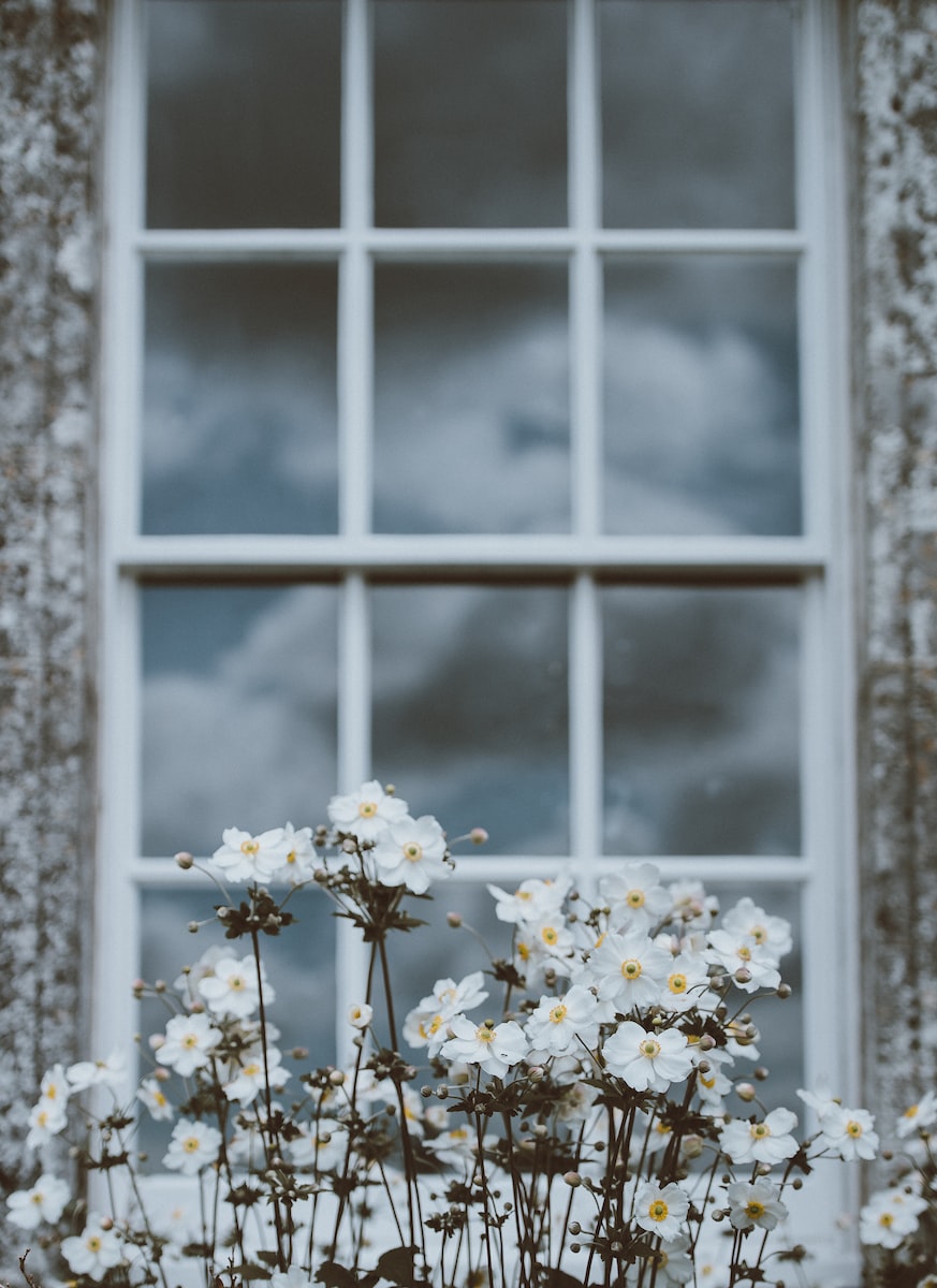 Sash window with white flowers