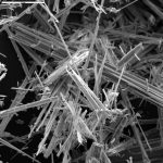 Anthophyllite Asbestos Scanning Electron Microscopy (SEM)