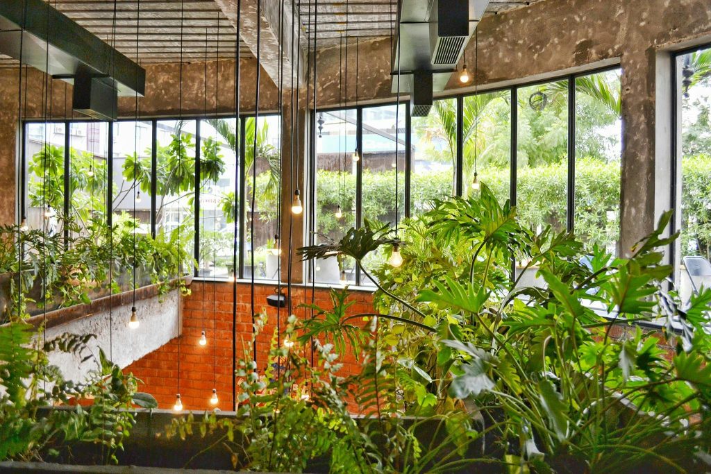 Modern cafe interior with large windows and hanging lightbulbs, decorated with lush green plants for a natural ambience